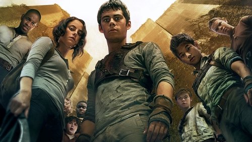 The Maze Runner - Giải Mã Mê Cung - Hình 5