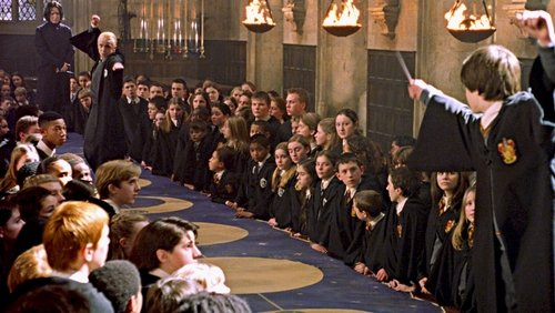 Harry Potter And The Chamber Of Secrets - Harry Potter Và Phòng Chứa Bí mật - Hình 2