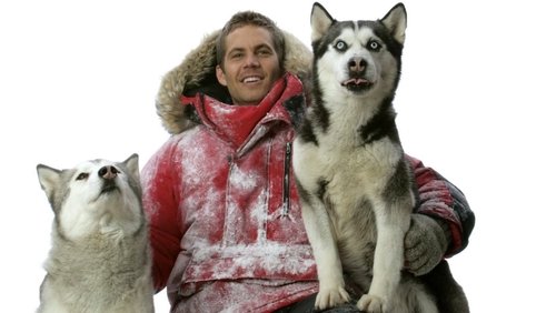 Eight Below - Âm Tám Độ - Hình 4