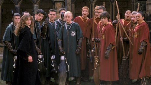 Harry Potter And The Chamber Of Secrets - Harry Potter Và Phòng Chứa Bí mật - Hình 1