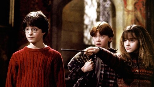 Harry Potter And The Sorcerer's Stone - Harry Potter Và Hòn Đá Phù thủy - Hình 3