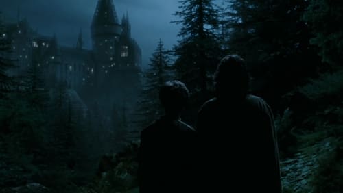 Harry Potter And The Prisoner Of Azkaban - Harry Potter Và Tên Tù Nhân Ngục Azkaban - Hình 3