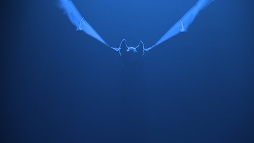 Batman Forever - Người Dơi Bất Tử - Hình 3