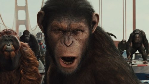 Rise of the Planet of the Apes - Sự Trỗi Dậy Của Hành Tinh Khỉ - Hình 5