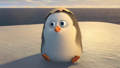 Penguins of Madagascar - Biệt Đội Cánh Cụt Vùng Madagascar - Hình 4