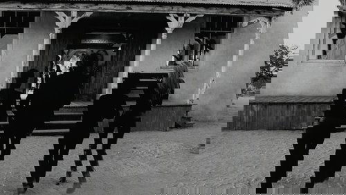 Kill Bill: Vol. 2 - Cô Dâu Báo Thù 2 - Hình 5