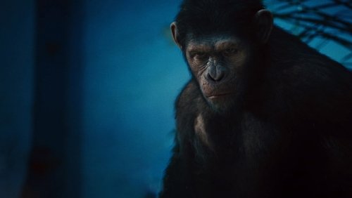 Rise of the Planet of the Apes - Sự Trỗi Dậy Của Hành Tinh Khỉ - Hình 4
