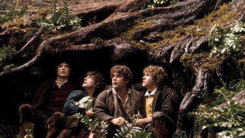The Lord of the Rings: The Fellowship of the Ring - Chúa Tể Của Những Chiếc Nhẫn: Hiệp Hội Nhẫn Thần - Hình 1