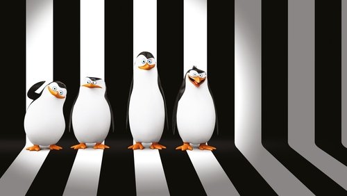 Penguins of Madagascar - Biệt Đội Cánh Cụt Vùng Madagascar - Hình 3