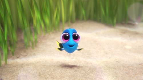 Finding Dory - Đi Tìm Dory - Hình 5