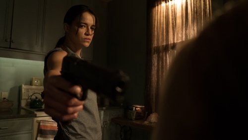 The Assignment - Sát Thủ Báo Thù - Hình 1