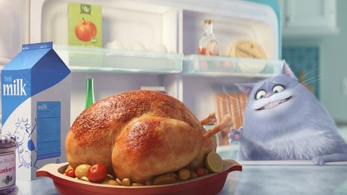 The Secret Life of Pets - Đẳng Cấp Thú Cưng - Hình 3