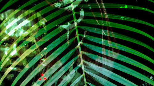 Predator - Quái Vật Vô Hình | Tiêu Diệt Ác Thú - Hình 3