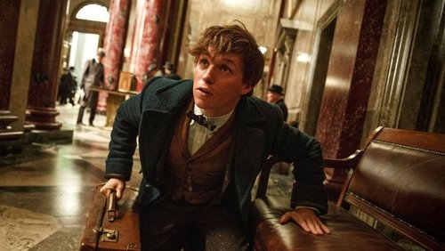 Fantastic Beasts And Where To Find Them - Sinh Vật Huyền Bí Và Nơi Tìm Ra Chúng - Hình 1