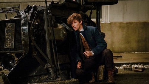 Fantastic Beasts And Where To Find Them - Sinh Vật Huyền Bí Và Nơi Tìm Ra Chúng - Hình 2