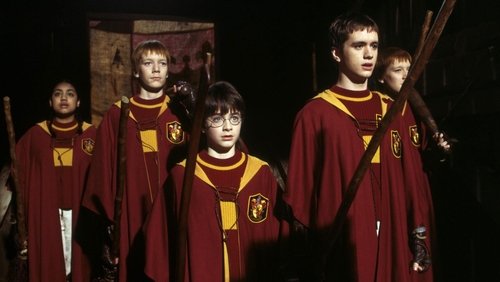 Harry Potter And The Sorcerer's Stone - Harry Potter Và Hòn Đá Phù thủy - Hình 2