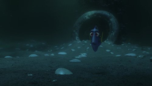 Finding Dory - Đi Tìm Dory - Hình 7