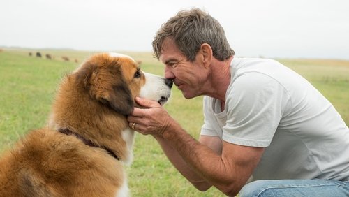 A Dog's Purpose - Mục Đích Sống Của Một Chú Chó - Hình 3