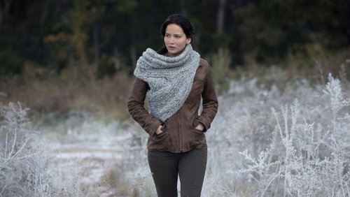 The Hunger Games: Catching Fire - Đấu Trường Sinh Tử 2: Bắt Lửa - Hình 3