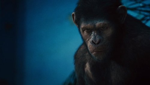 Rise of the Planet of the Apes - Sự Trỗi Dậy Của Hành Tinh Khỉ - Hình 6