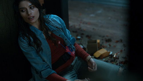 Security - Người Gác Đêm - Hình 5