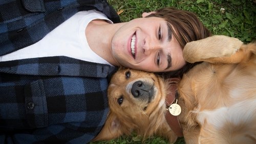 A Dog's Purpose - Mục Đích Sống Của Một Chú Chó - Hình 1