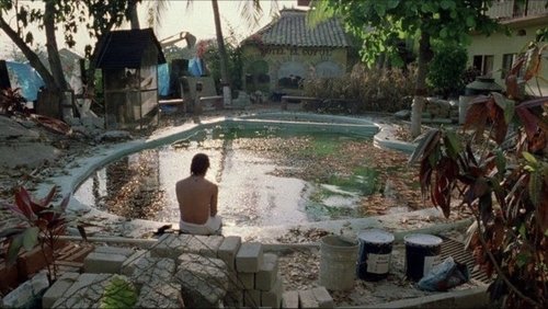 Y Tu Mamá También | And Your Mother Too - Vào Đời - Hình 4